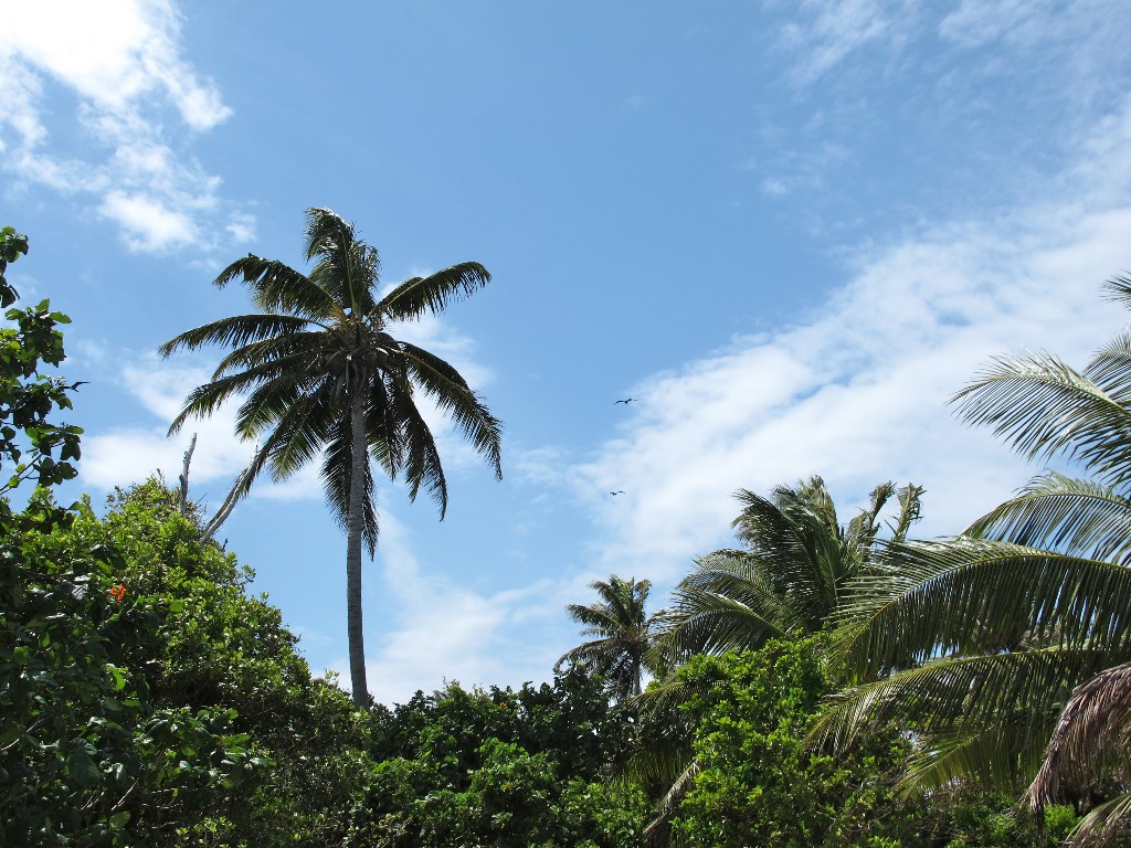 IMG_0224 (1) IMG_0224 (1)